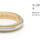 티파니앤 이미지