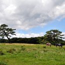 제주미주호텔 이미지