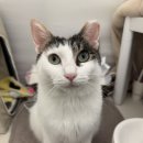 (주)경남동원약품 | 음수량 늘리기 프로젝트 ㅣ 물 타도 먹는 효자템, 동원 뉴트리플랜 드링크 내돈내산 후기