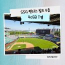 언니네떡튀순 | [야구] 인천 SSG 랜더스 필드 405B S,T열 시야, 랜더스 필드 먹거리, LG전 끝내기 승리, 불꽃놀이까지...