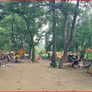 김삿갓면-42 이미지