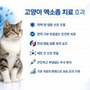 판교 P&P 동물병원 이미지