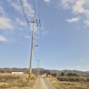 멍뭉# | 경북 경주 반려동물 펜션:) "멍뭉단지" 방문 후기