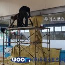 강남스포츠 이미지