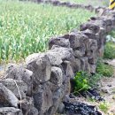 애월 현스테이 이미지