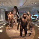 전곡선사박물관 이미지