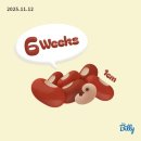 뚱스돈까스 | B17. 임신 초기 5주-7주 증상 (피고임, 절박유산 징조, 조리원 예약)