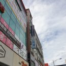 스케일링 대만족! 청주 치과 - 가경동 민들레 치과 후기, 스케일링 비용 - 의료보험 적용
