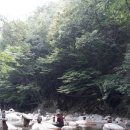 마천농장 이미지