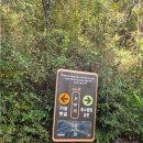 용소웰빙공원(입구) 이미지