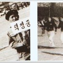 덕정중 이미지