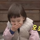 정돈계