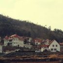 바다그리다 이미지