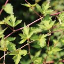 (주)나무연구소 이미지