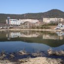 송학초교 이미지