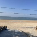 솔뫼골 한끼밥상 | 충남 푸짐한 해물과 생선구이 제육이 나오는 대천맛집 '한끼밥상' 후기