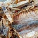 동광수산 이미지