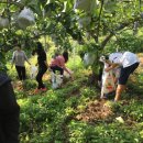 내곡경로당 이미지