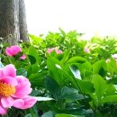 &#34;3차 토론=선혈 낭자한 네거티브전…이준석 성혐오 발언 충격, 두고두고 회자될 걸림돌&#34; 이미지