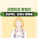 경상북도 포항시 흥해읍 교정치과 총정리