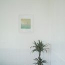 제주영숙 이미지