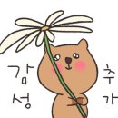 카페사훈