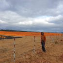 신흥목장 이미지