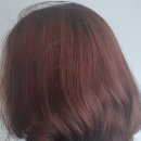 살롱드 메르시 이미지