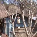 두꺼비농장 이미지