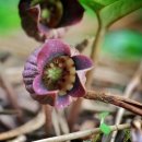 스마트폰 100 활용하기 이미지