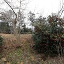 덕장농장 이미지