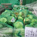 시장 앞 공터 이미지