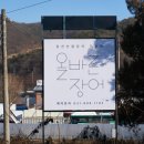 올바른장어 이미지