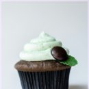 시지바름플란트치과의원 | 충치 예방하는 법 생활 속 작은 변화로 시작하기