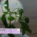 청양세탁소 이미지