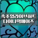 킹콩놀이샾 | [속초] 얼라이브 하트(ALIVE HEART) / 다이나믹 메이즈