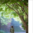 목장의아침 네이버블로그