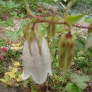 둔기마을 이미지