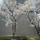 신성미소지움 지하주차장 이미지