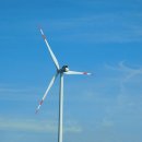 삼강양행 이미지