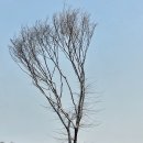 애기봉 평화생태공원 이미지