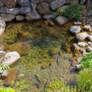 지리산펜션산장 이미지