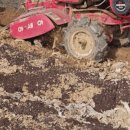 상상농장2 이미지