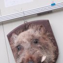 강두농장 이미지