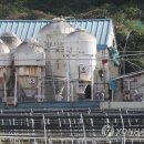 파주새희망방역