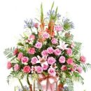 DK공인중개사사무소 이미지