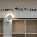 책나무영종