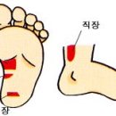 365일 잔병치레 걱정 없는 손ㆍ발 마사지 ... 이미지