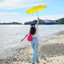궁항리조트 | 부안 여행 어촌 워케이션 부안마실길 부안숙소 궁항리조트