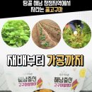 땅끝햇살찬영농조합법인 이미지